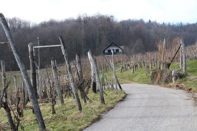 Vinogradniška vas ima zdaj nekaj čez 200 prebivalcev. FOTO: Simona Fajfar