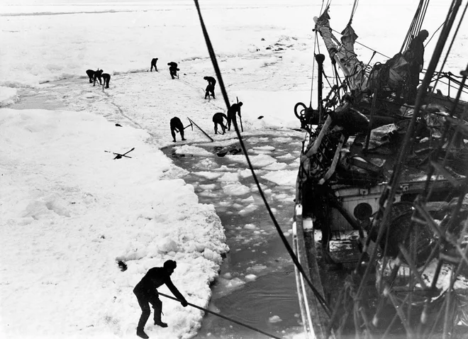 Ladje Endurance jim ni uspelo rešiti. FOTO: Frank Hurley