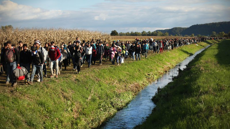 Fotografija: Velika večina priseljencev bo v Nemčijo prišla iz držav zunaj EU. Pametno bi bilo, da pridejo na organiziran in urejen način. Foto Jure Eržen