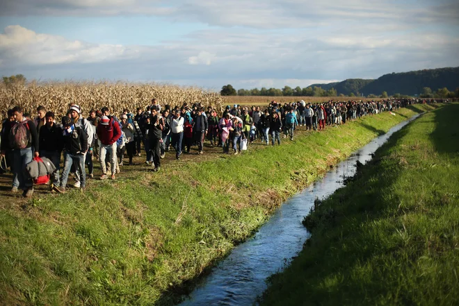 Velika večina priseljencev bo v Nemčijo prišla iz držav zunaj EU. Pametno bi bilo, da pridejo na organiziran in urejen način. Foto Jure Eržen