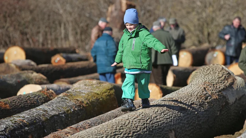 Fotografija: Na licitaciji so se zabavali tudi najmlajši. FOTO: Tadej Regent/Delo