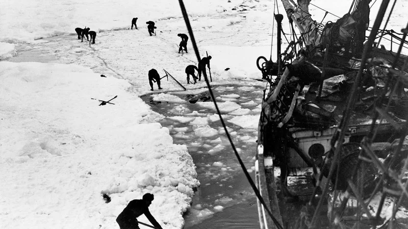 Fotografija: Vzržljivost ni zdržala. Foto Frank Hurley