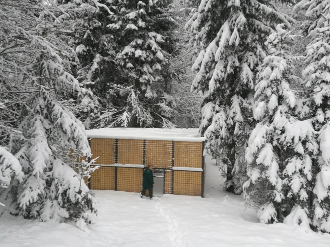 Prilagoditvene obore v Loškem Potoku, ki čakajo na letošnje rise. Foto Simona Fajfar