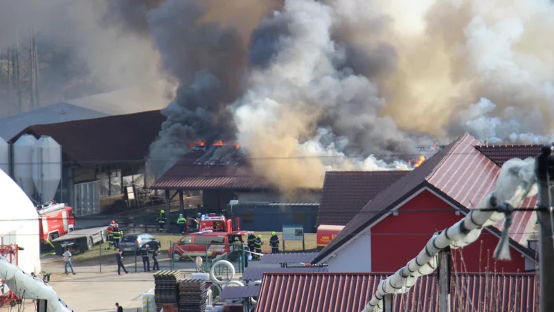 Fotografija: Na posestvu je nastala velika materialna škoda. FOTO: Tanja Jakše Gazvoda