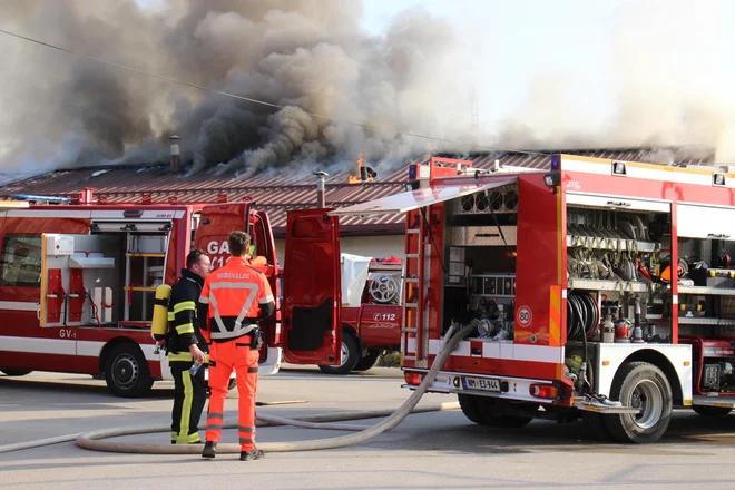 FOTO: Tanja Jakše Gazvoda