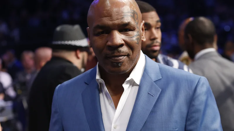 Fotografija: Tyson se ni bal niti bitij, enkrat mogočnejših od sebe.
FOTO: Reuters