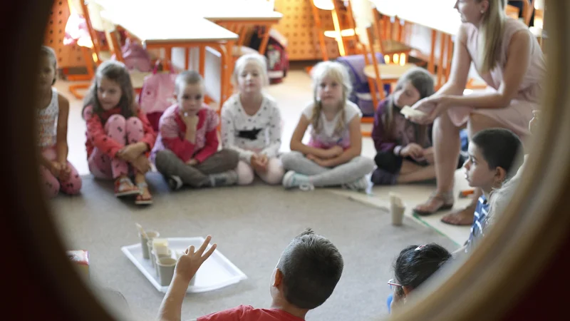 Fotografija: Hočemo postaviti zgled in tako zgraditi skupnost učiteljev, ki bodo navdih tudi drugim, pravijo pobudniki projekta. Foto Leon Vidic