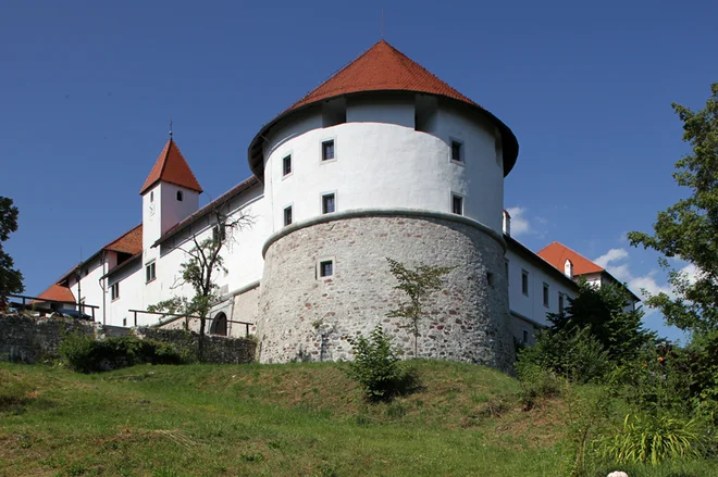 Turjaški grad