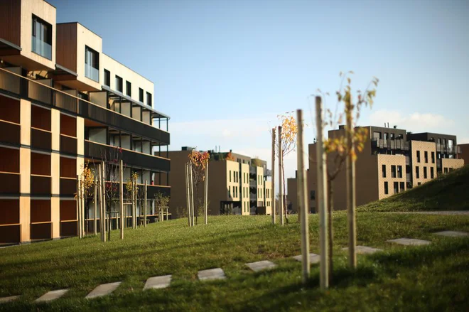FOTO: Jure Eržen