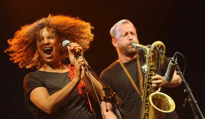 Neneh Cherry med nastopom v Ljubljani 2012. FOTO: Primož Zrnec