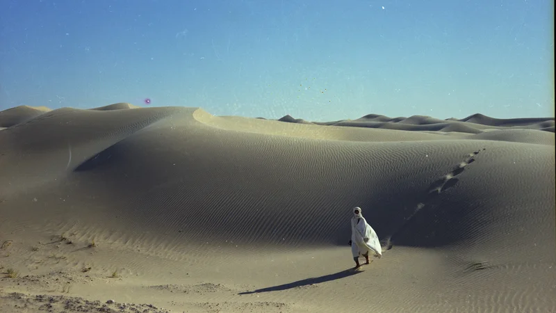 Fotografija: Fatamorgana (1971) je prvi dokumentarec Wernerja Herzoga, ki ga je posnel v Afriki. Foto arhiv FDF