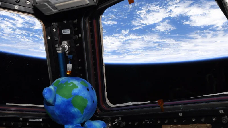 Fotografija: Prizor, ki vzame dih, kajne? FOTO: Anne McClain/Nasa