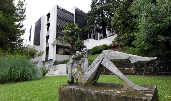 Splošna plovba upravlja štiri ladje nemškega lastnika in je zato samo delno odgovorna za dolgove hčerinske družbe Genshipping Monrovia. Foto Blaž Samec