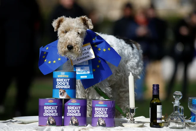 Dobra dva tedna pred načrtovanim brexitom se mrzlično išče rešitev za urejen izstop Združenega kraljestva iz EU. FOTO: Reuters