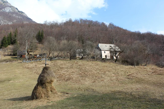 Drevje se na žalost že krepko zažira v travnike, ki jih od 80. let prejšnjega stoletja ne popasejo več ne ovce ne koze, tudi za koso že zelo dolgo nihče ne prime več.