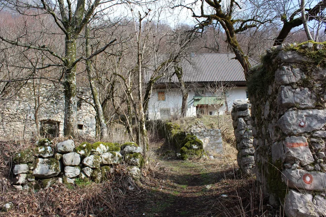 Če bi do Lemovja vodila cesta, bi danes tam stalo toliko počitniških hišic, da jih ne bi mogli prešteti.