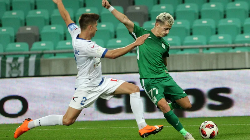 Fotografija: Foto Mavric Pivk