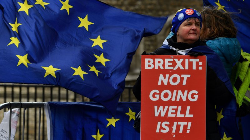 Fotografija: Protestniki pred britanskim parlamentom. FOTO: Ben Stansall/AFP