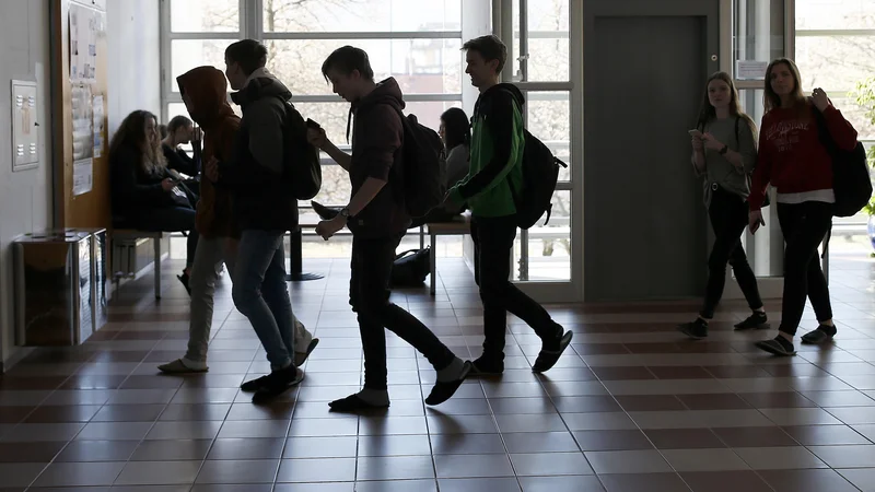 Fotografija: V šolstvu je ključno, da je učitelj dober voditelj, saj mi lahko spreminjamo sisteme, ampak ideale bodo uresničevali ljudje. (Fotografija je simbolična) Foto: Blaž Samec/Delo