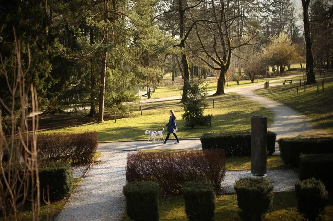 Poleg uravnotežene prehrane je ključno gibanje, ki je koristno za ohranjanje mišic in preprečuje upad kostne mase. Foto: Jure Eržen/delo