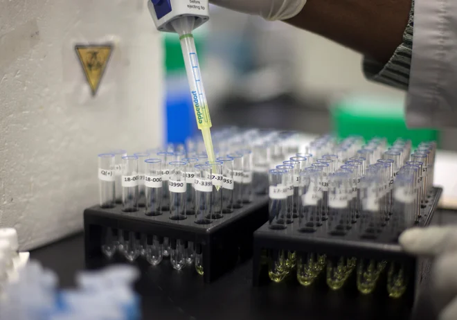 Krvni doping so izvajali v Nemčiji, Avstriji, Italiji, na Švedskem, Hrvaškem, Finskem, v Estoniji, Sloveniji, Južni Koreji in na Havajih. FOTO:&nbsp;Reuters.