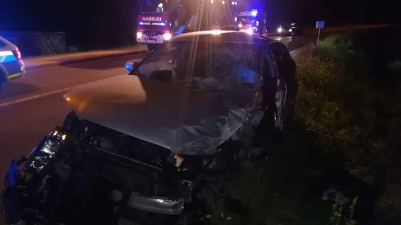 Fotografija: Policisti so vozniku odredili preizkus alkoholiziranosti. FOTO: Pgd Dolnji Logatec