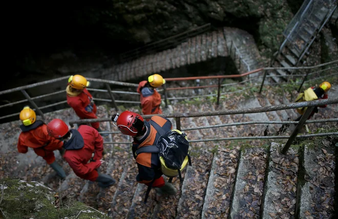 Dolgo in slikovito stopnišče proti vhodu jame Pivka. FOTO: Blaž Samec