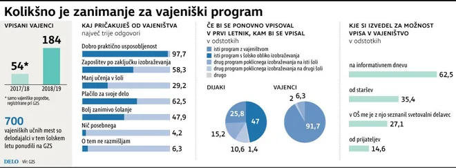 Vajeništvo v Sloveniji Foto Delo