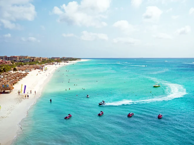 Plaže na Arubi so znane po gnezdenju štirih vrst morskih želv. FOTO: Shutterstock