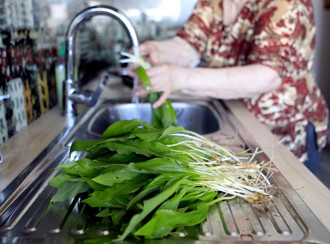 Čemaževa juha, čemažev pesto in skutni namazi s čemažem so zadnja leta postali vsakdanje jedi. Foto Roman Šipić