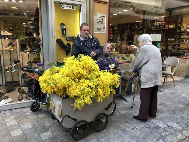 Čas, ko dišijo mimoze<br />
Foto: Mimi Podkrižnik