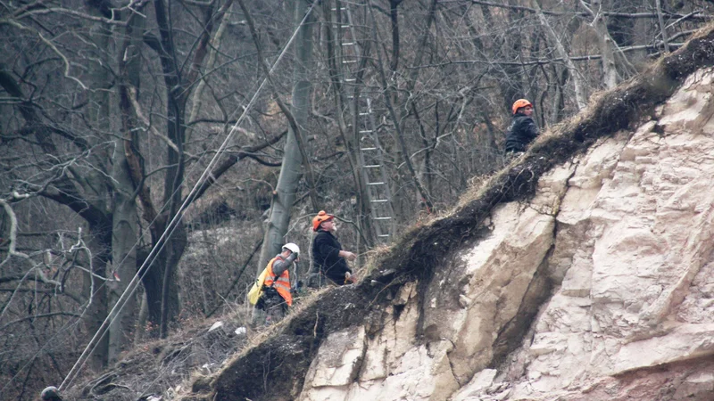 Fotografija: Take situacije še niso imeli. FOTO: DRI