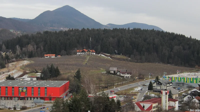 Fotografija: Zlati grič v času, ko ga je prevzela občina Velenje in preden je s stavbnega zemljišča odstranila plantažo jablan. FOTO: Brane Piano