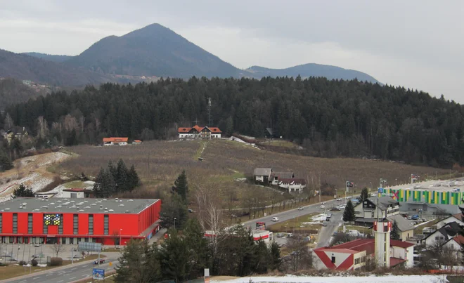 Zlati grič v času, ko ga je prevzela občina Velenje in preden je s stavbnega zemljišča odstranila plantažo jablan. FOTO: Brane Piano