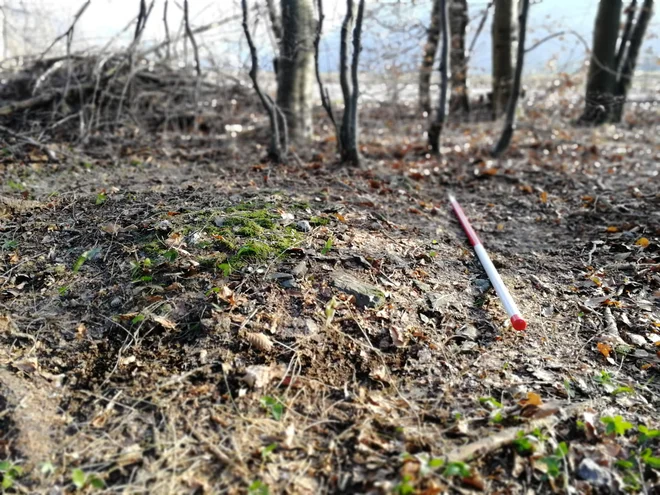 Pogled na nizek zemljen nasip, iz katerega štrlijo posamezni kamni zapore Vrata. FOTO: Jure Kusretič