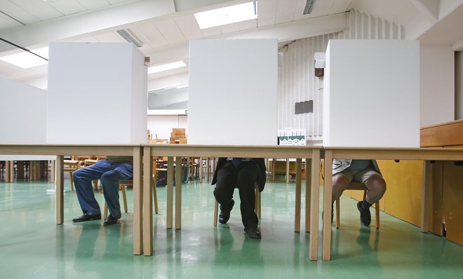 Prvi projekt stranke so majske evropske volitve. FOTO: Matej Družnik/delo