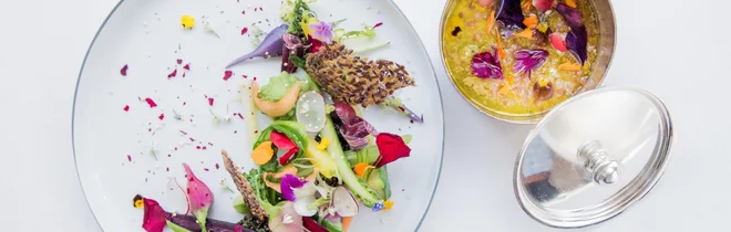 Zelenjava za potrebe Ducassove pariške restavracije v hotelu Plaza Athénée raste v ekskluzivnem okolju versajskega dvorca, v tako imenovanem Le Jardin de la Reine, kraljičinem vrtu. Foto Ad Paris