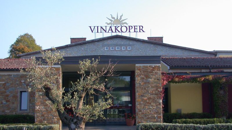 Fotografija: Leta 2017 je Vinakoper prodal več kot tri milijone litrov vina in ustvaril 9,4 milijona evrov prihodka ter skoraj pol milijona evrov čistega dobička. Lani pa za skoraj tretjino povečal izvoz. Foto Boris Šuligoj