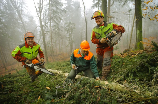 Gozdarji so poučeni o zaščiti pred klopi. FOTO: Jože Suhadolnik/Delo