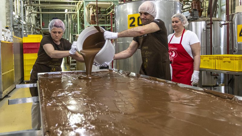 Fotografija: Čokolada velikanka je vsako leto za kilogram težja. FOTO: Voranc Vogel/Delo