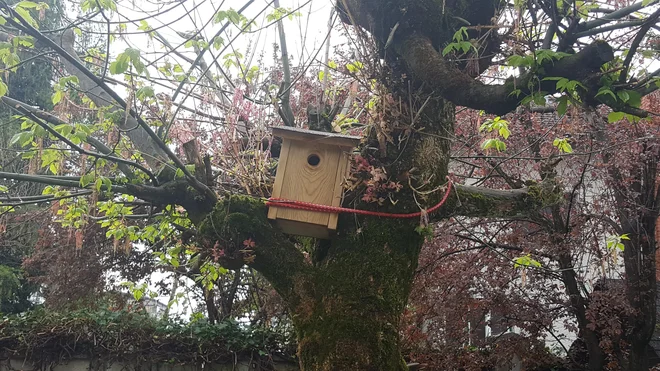 Namesto da bi objokovala svojo nesrečo, sta - življenje je prekratko - obsesivno poprijela za delo,&nbsp;nabiranje materiala za nov začetek, novo življenje. FOTO: Maja Prijatelj Videmšek