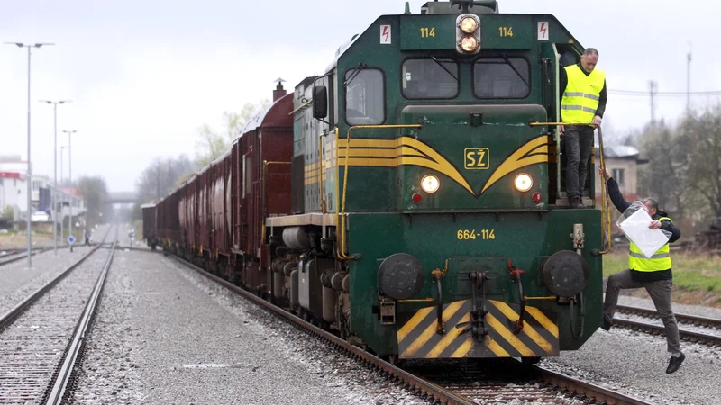 Fotografija: Z odprtjem proge bo najmanj dvanajst gospodarskih družb z območja Kočevja preusmerilo transport svojih izdelkov s ceste na tire. FOTO: Roman Šipić/Delo