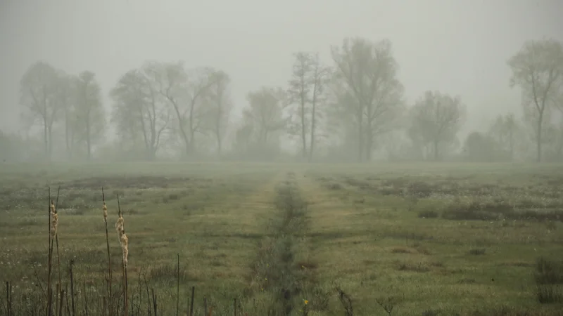 Duševne motnje se pogosto nadaljujejo iz zgodnejšega obdobja, seveda pa lahko v starosti nastanejo tudi prvič v življenju. Foto Uroš Hočevar