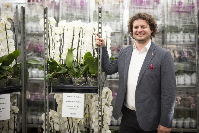 Slovenske orhideje za okrasitev Vatikana so pripravili v podjetju Ocean Orchids Romana Ferenčaka. Foto Jure Banfi