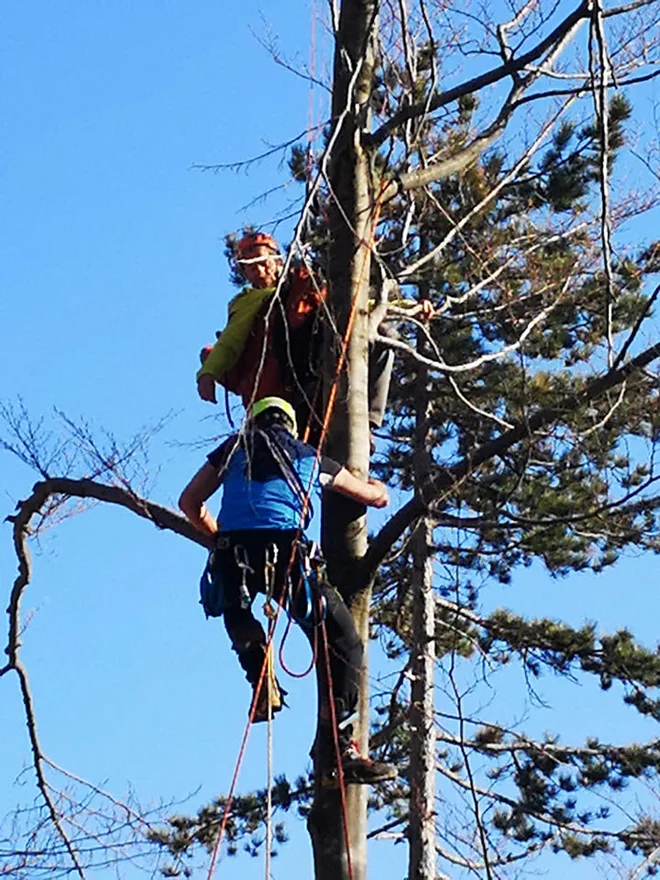 ​Na kraju nesreče so policisti ugotovili, da je jadralni padalec, ki je bil sicer ustrezno opremljen, napačno ocenil višino. FOTO: Gorska policijska enota PU Nova Gorica&nbsp;
