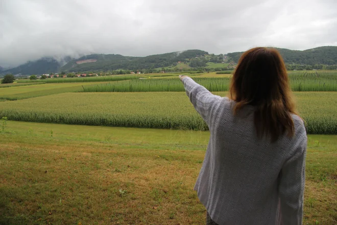 Braslovško polje, kjer je načrtovana gradnja hitre ceste. FOTO: Brane Piano