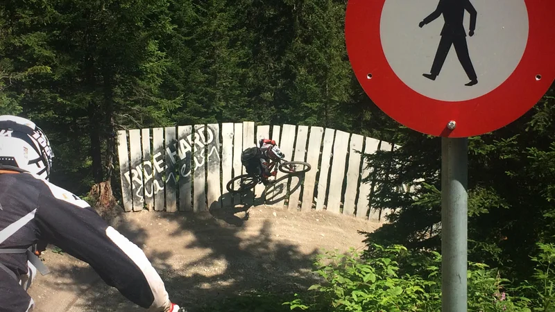 Fotografija: Spori med lastniki gozdov in gorskimi klesarji se ne dogajajo le na Pohorju, tudi na ljubljanski Rašici se je že zgodilo, zato Ljubljančani v tej tekmi težko vihajo nos nad divjimi Štajerci. Foto Jure Eržen