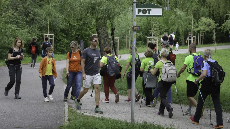 Fotografija: Pot ob žici je množična rekreativna prireditev. FOTO: Jože Suhadolnik/Delo