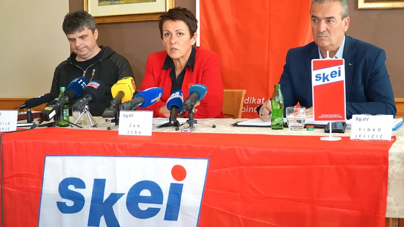 Z leve predsednik Konference sindikatov SKEI Gorenje Žan Zeba, predsednica sindiikata SKEI Slovenije in ZSSS Lidija Jerkič ter predsednik sindikata SKEI Gorenje GA Vinko Jeličič. FOTO: Brane Piano