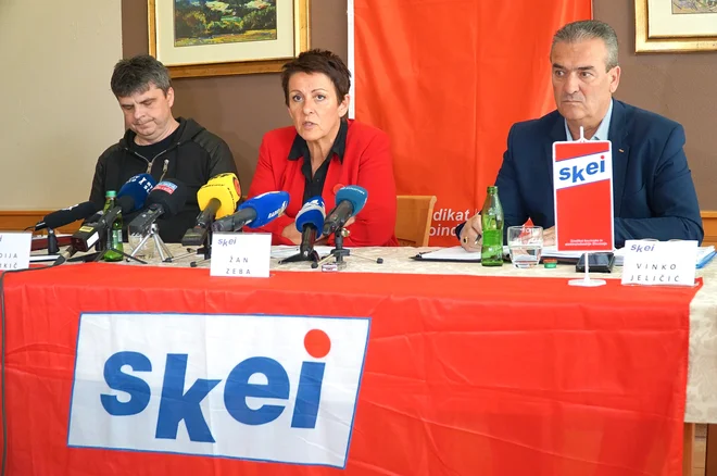 Z leve predsednik Konference sindikatov SKEI Gorenje Žan Zeba, predsednica sindiikata SKEI Slovenije in ZSSS Lidija Jerkič ter predsednik sindikata SKEI Gorenje GA Vinko Jeličič. FOTO: Brane Piano